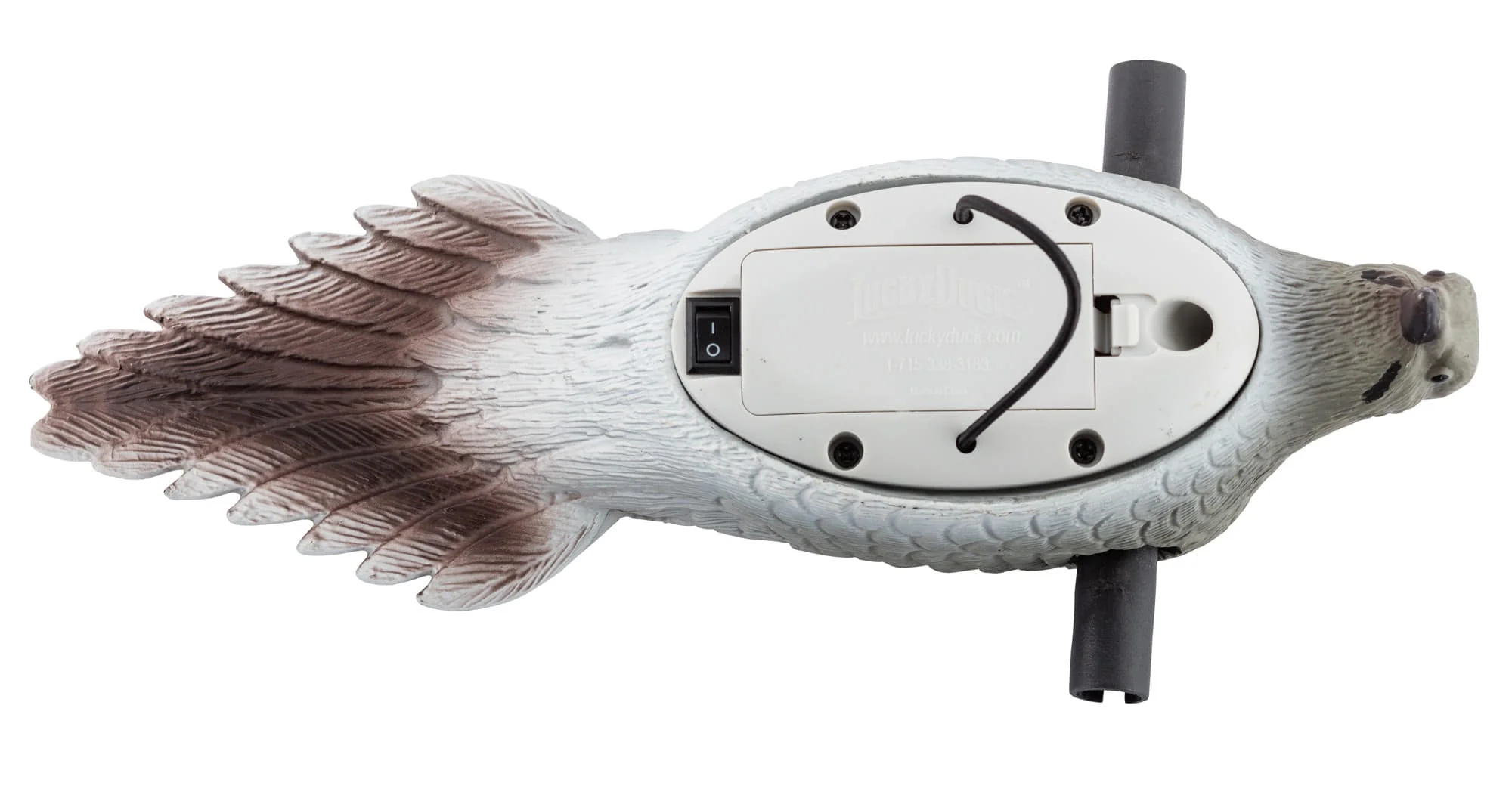 Appelant Europ-Arm Tourterelles - Ailes Tournantes – Image 5