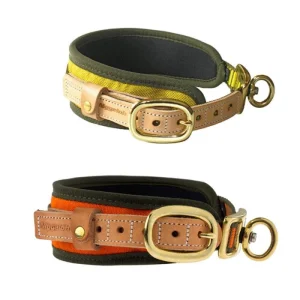 Collier Niggeloh chien de sang en néoprène armature alu